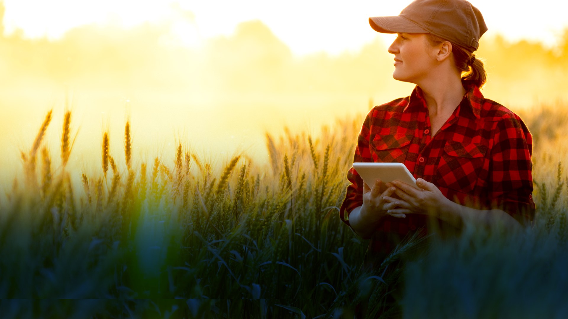 Tecnologia no agronegócio